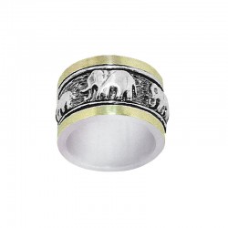 Bicolor ring gold silver