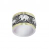 Bicolor ring gold silver
