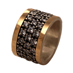 Bicolor ring gold silver