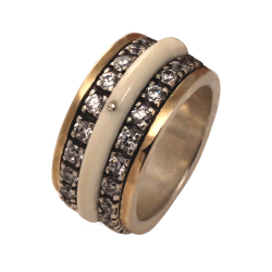 Bicolor ring gold silver